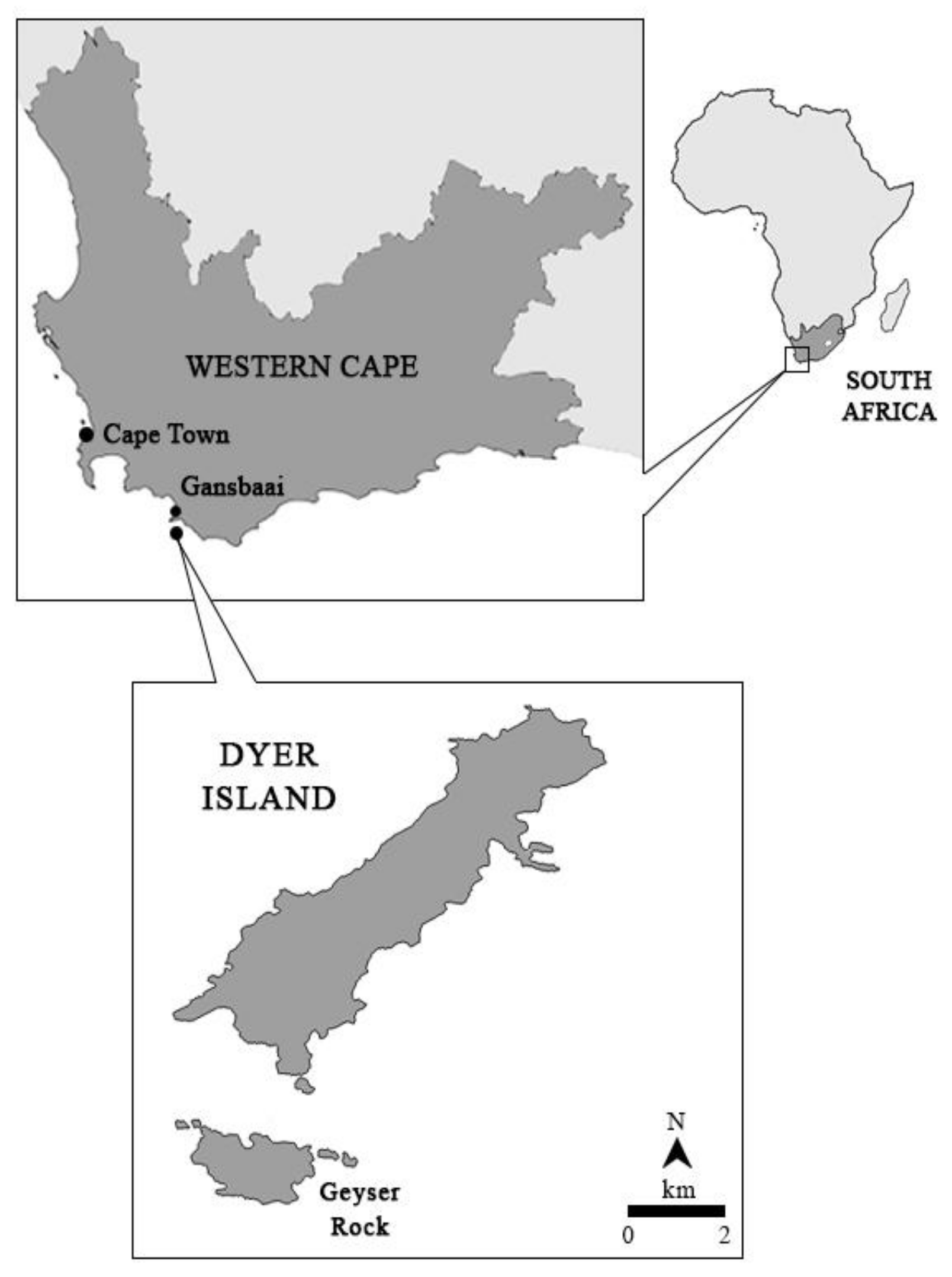 Biology 11 01735 g001