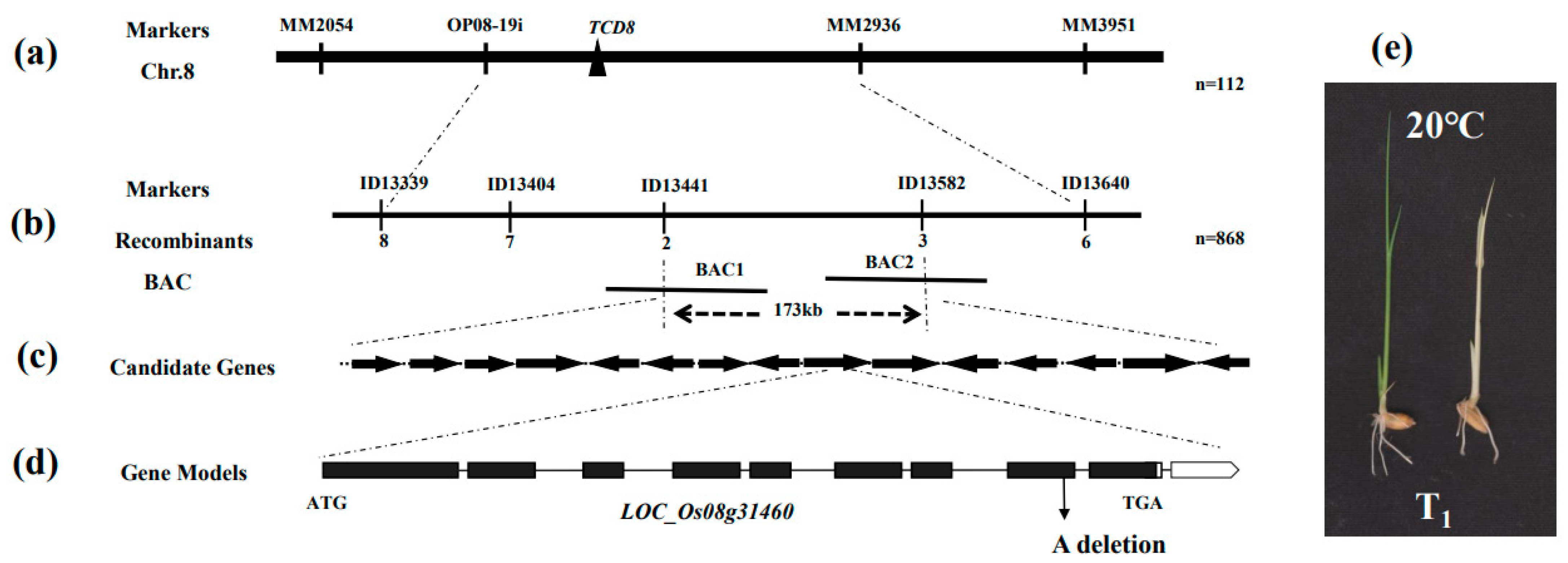 Biology 11 01738 g003