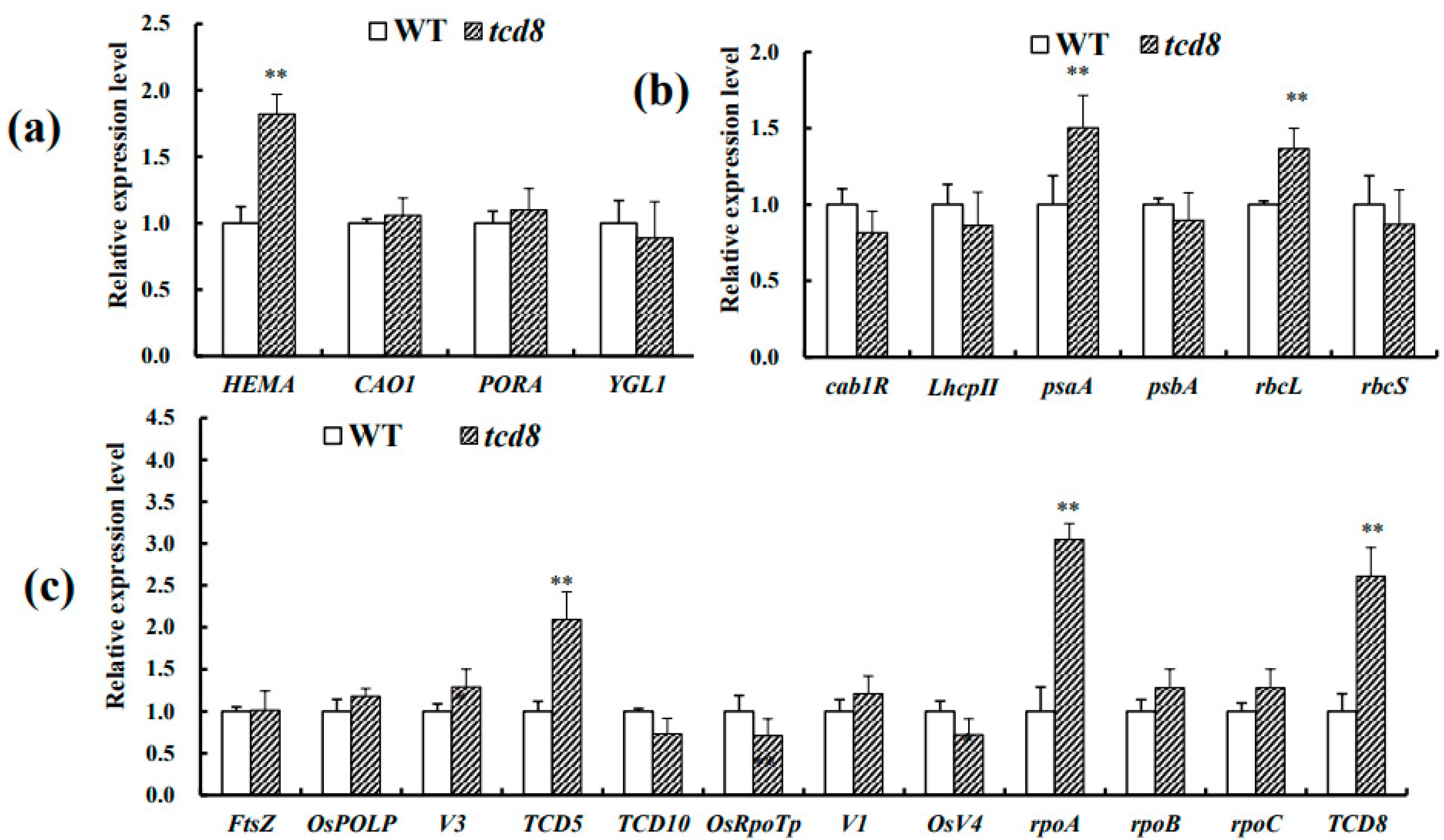 Biology 11 01738 g007