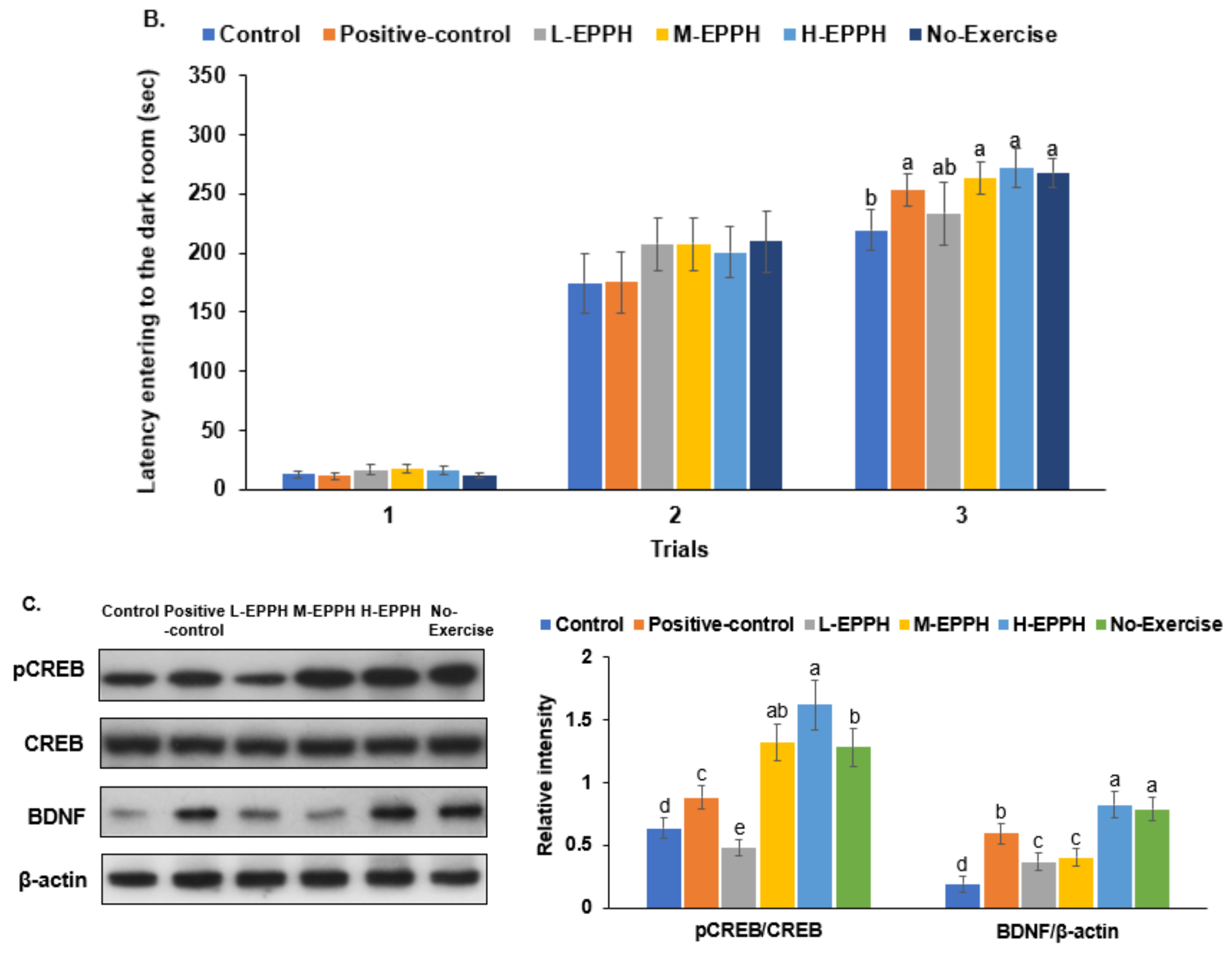 Biology 11 01739 g004b