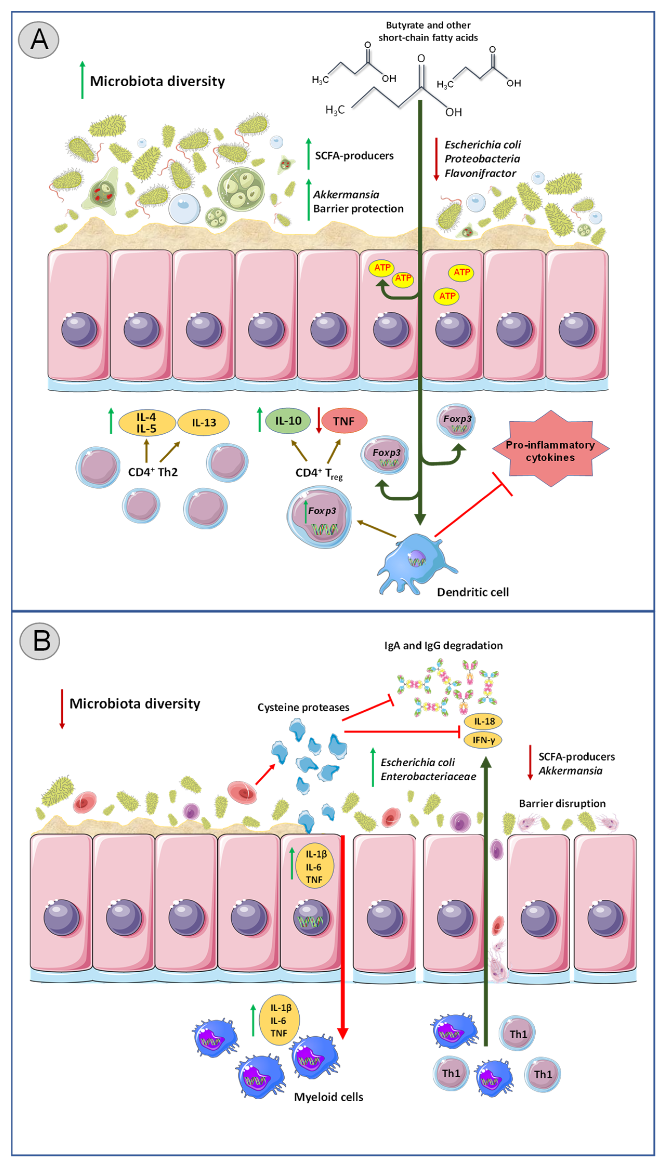 Biology 11 01742 g001