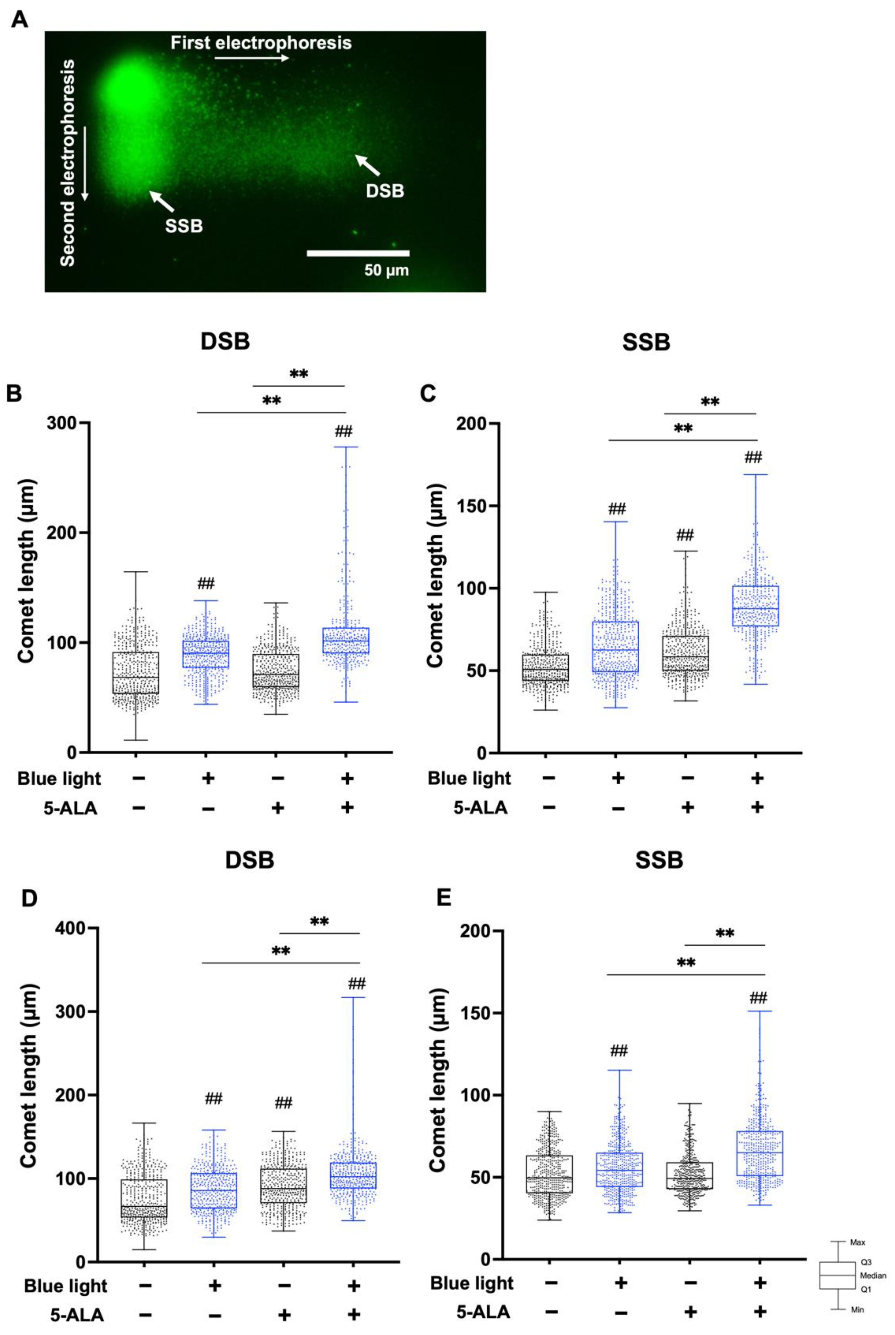 Biology 11 01743 g006