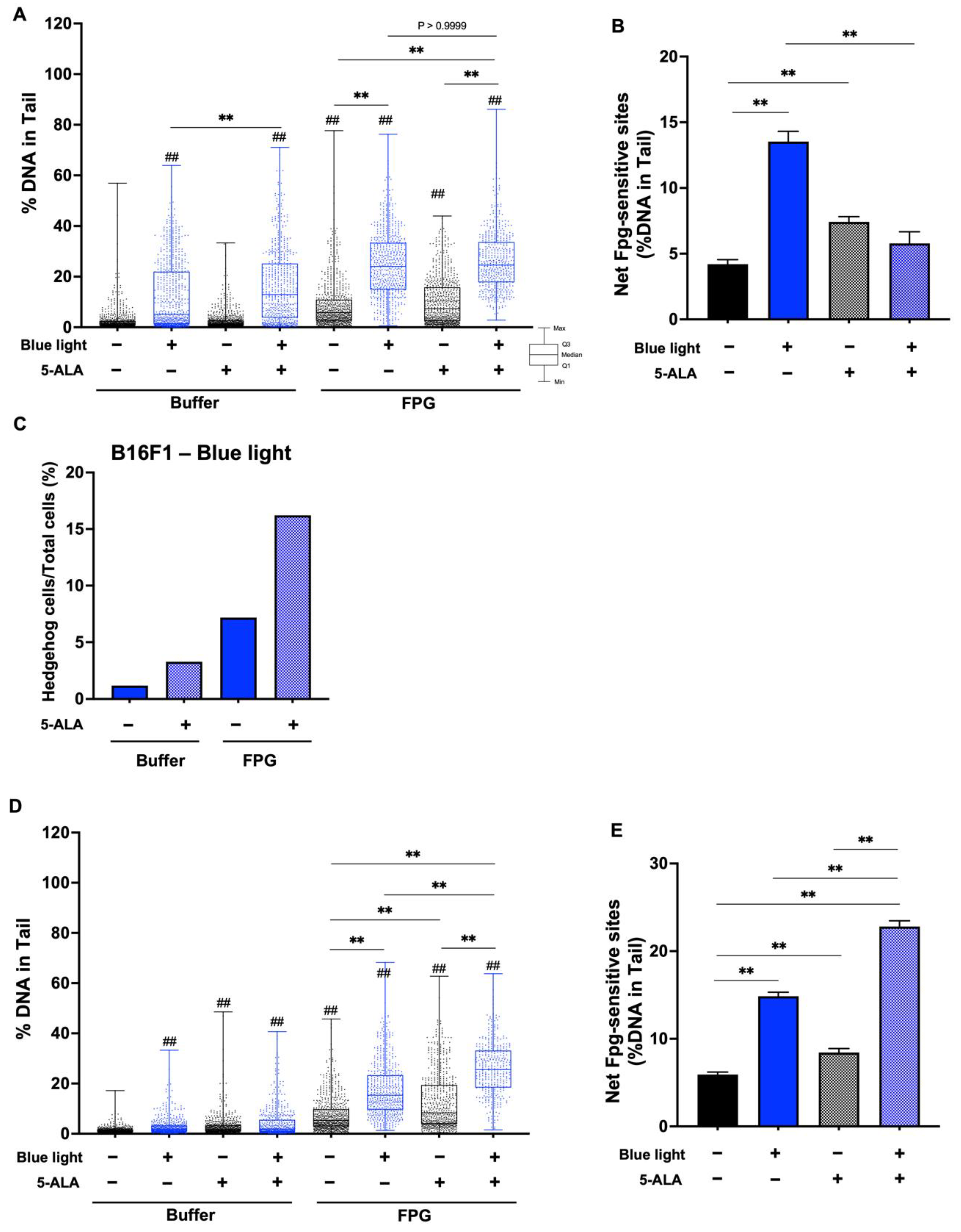 Biology 11 01743 g007