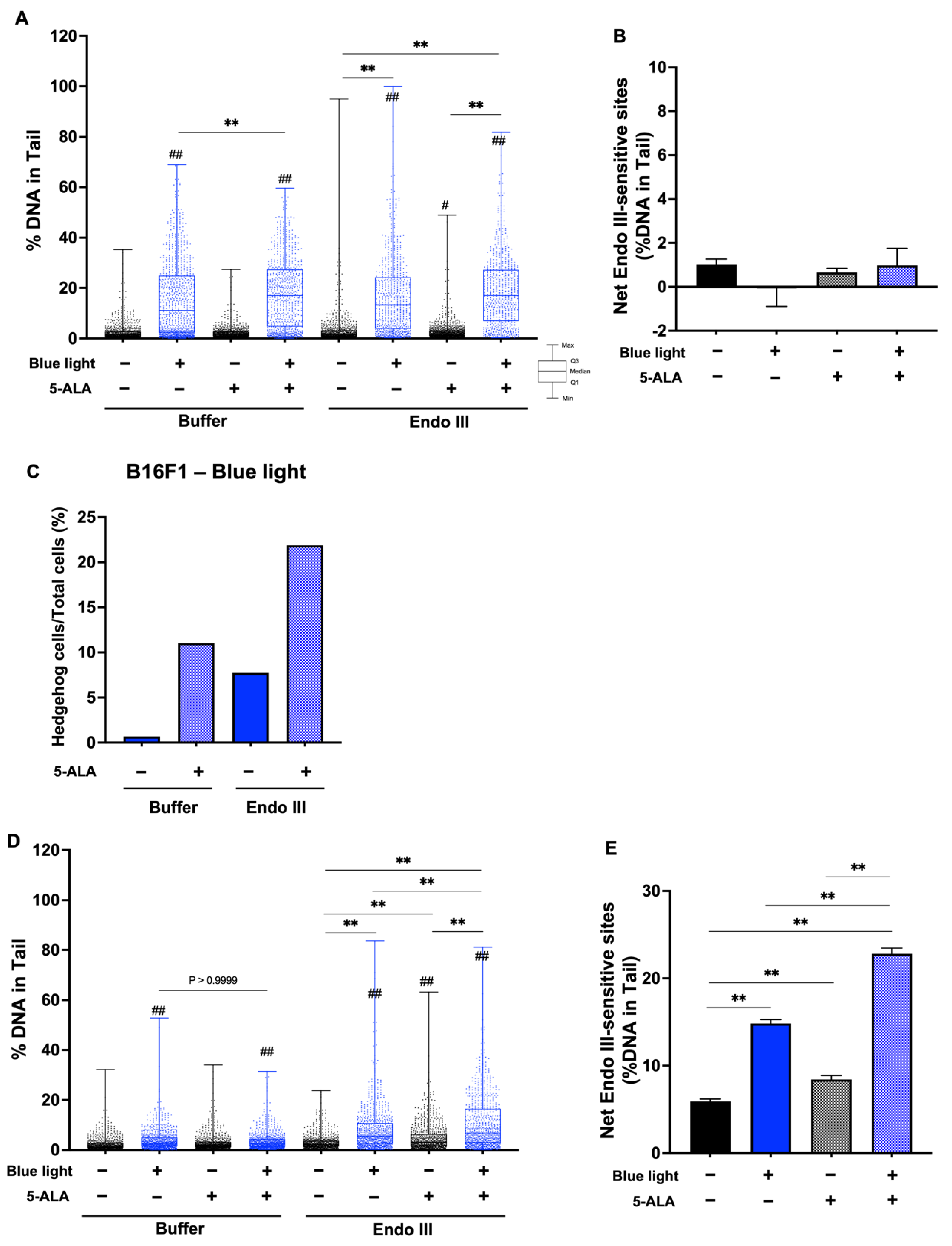 Biology 11 01743 g008