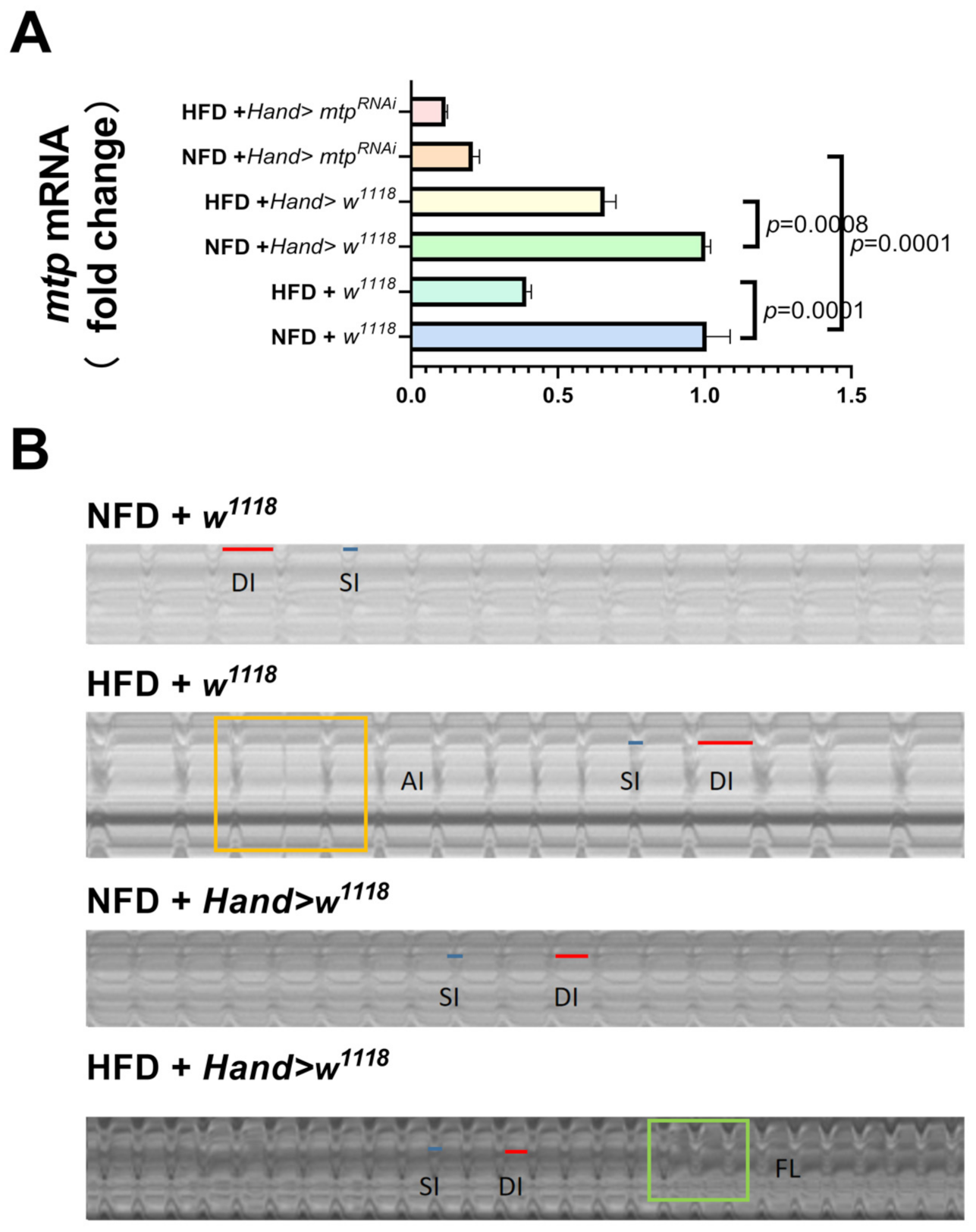 Biology 11 01745 g004 Biology 11 01745 g004
