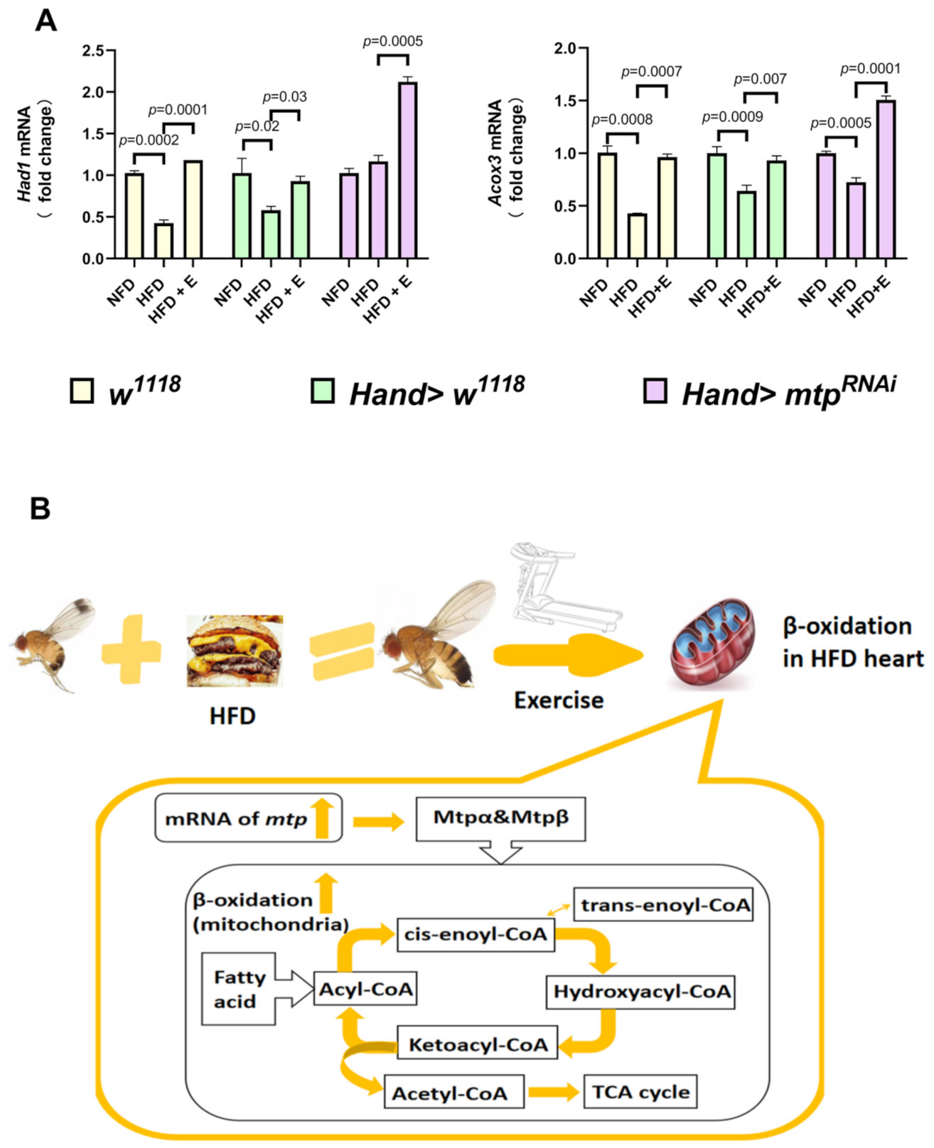 Biology 11 01745 g007 Biology 11 01745 g007