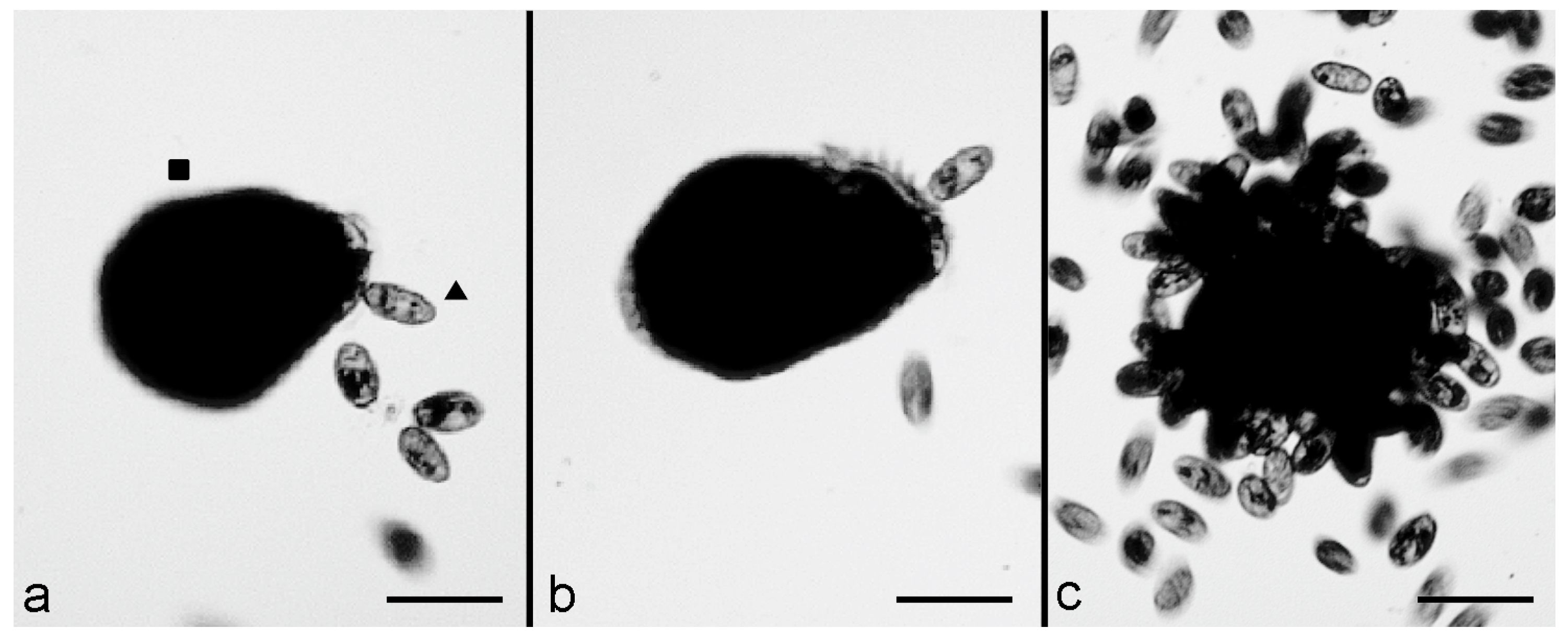 Biology 11 01749 g002