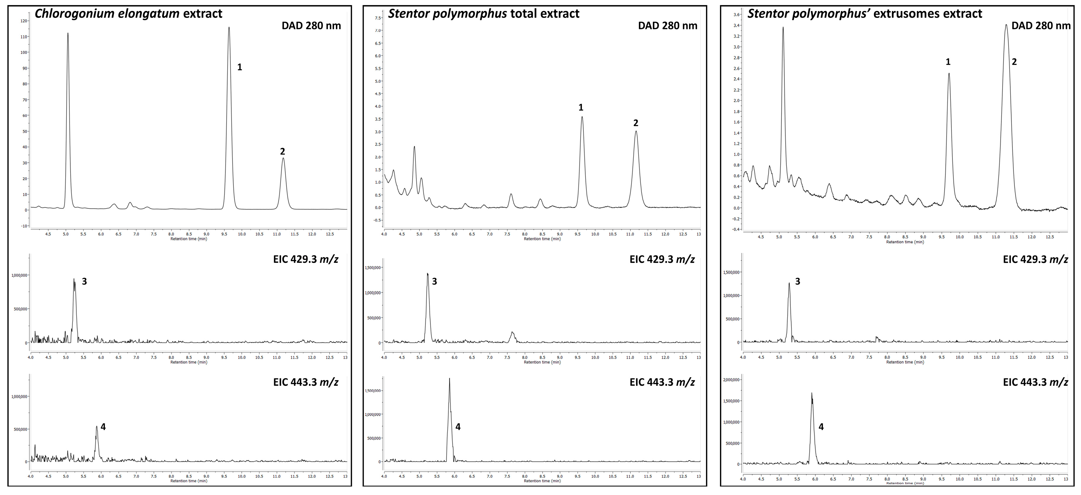 Biology 11 01749 g008