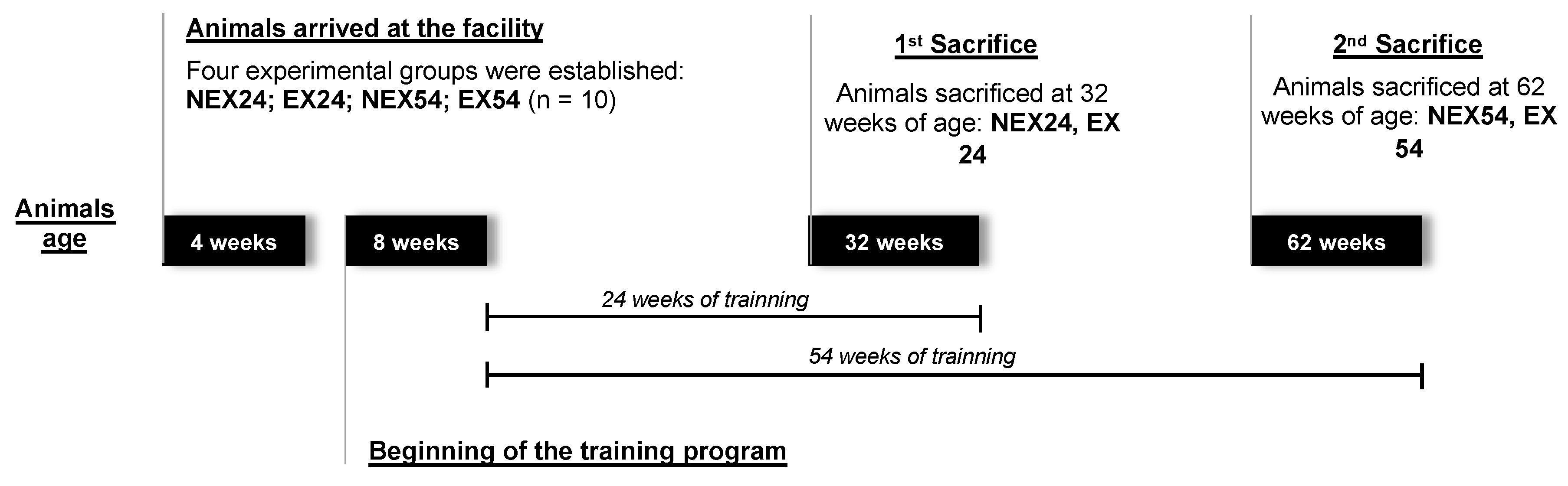 Biology 11 01750 g001