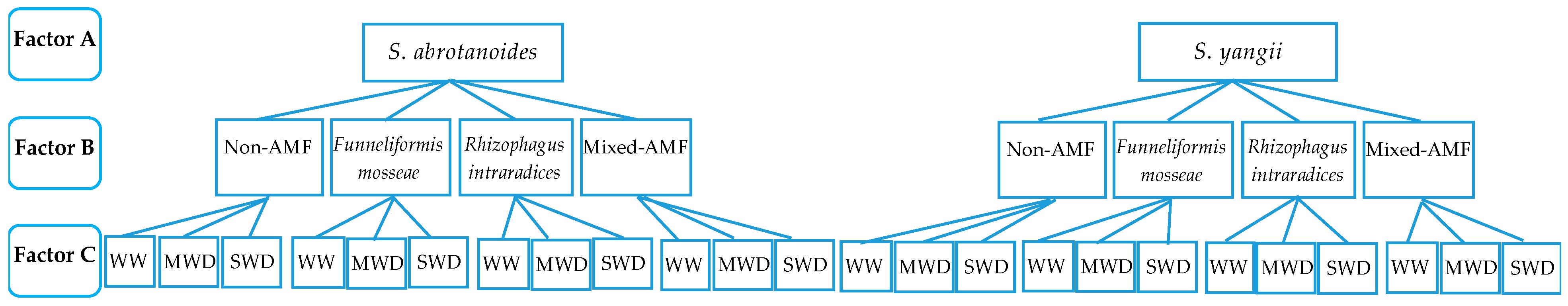 Biology 11 01757 g001