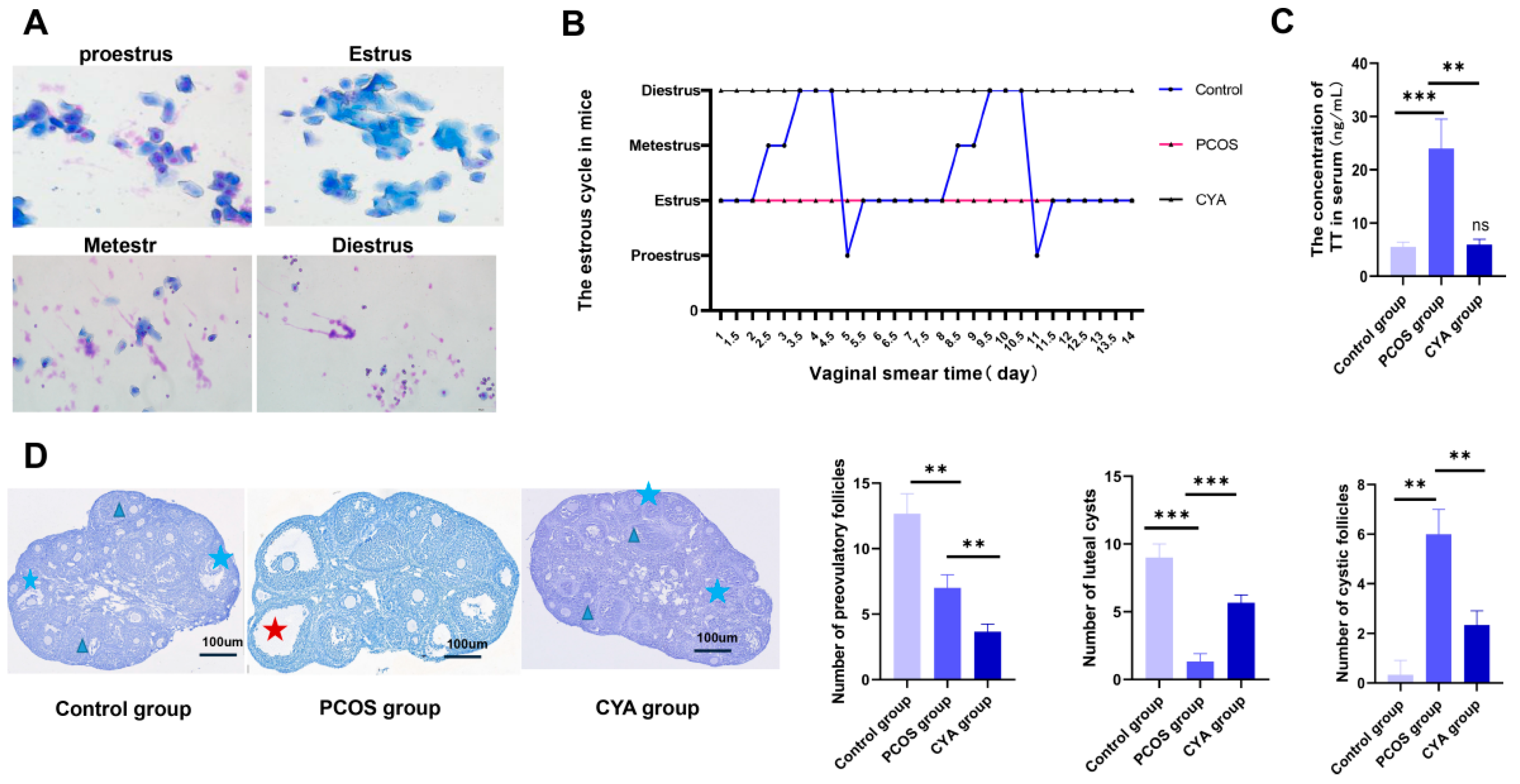 Biology 11 01761 g002