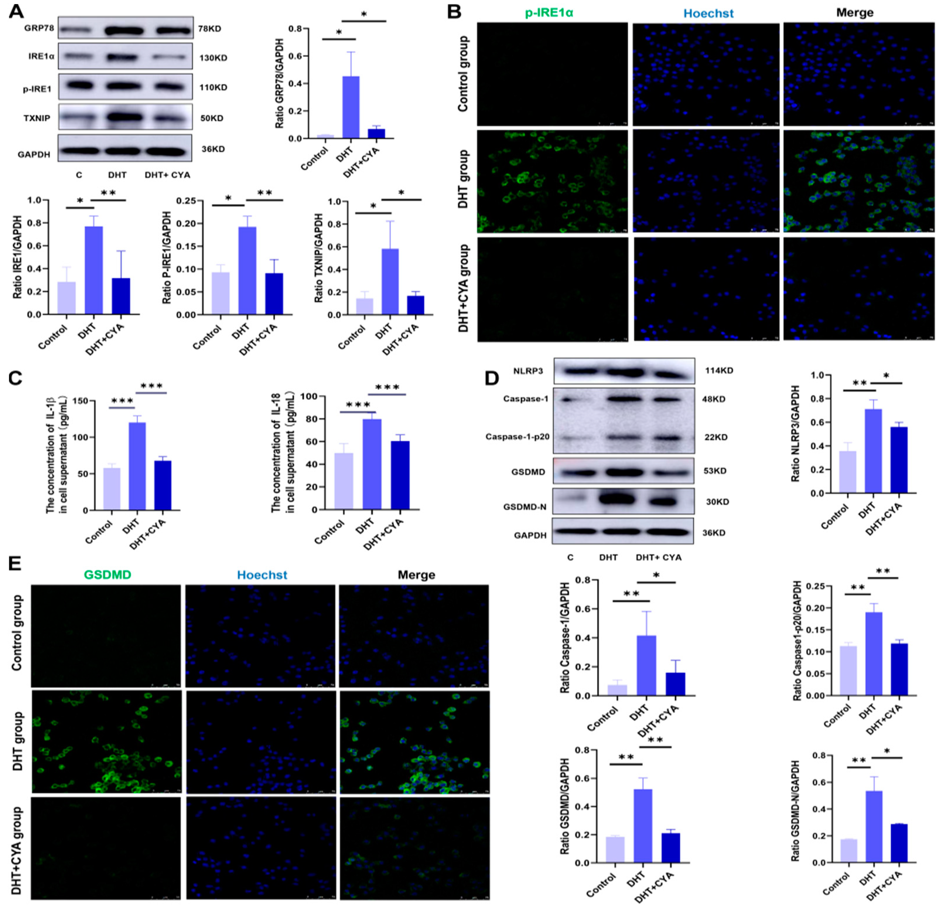 Biology 11 01761 g005