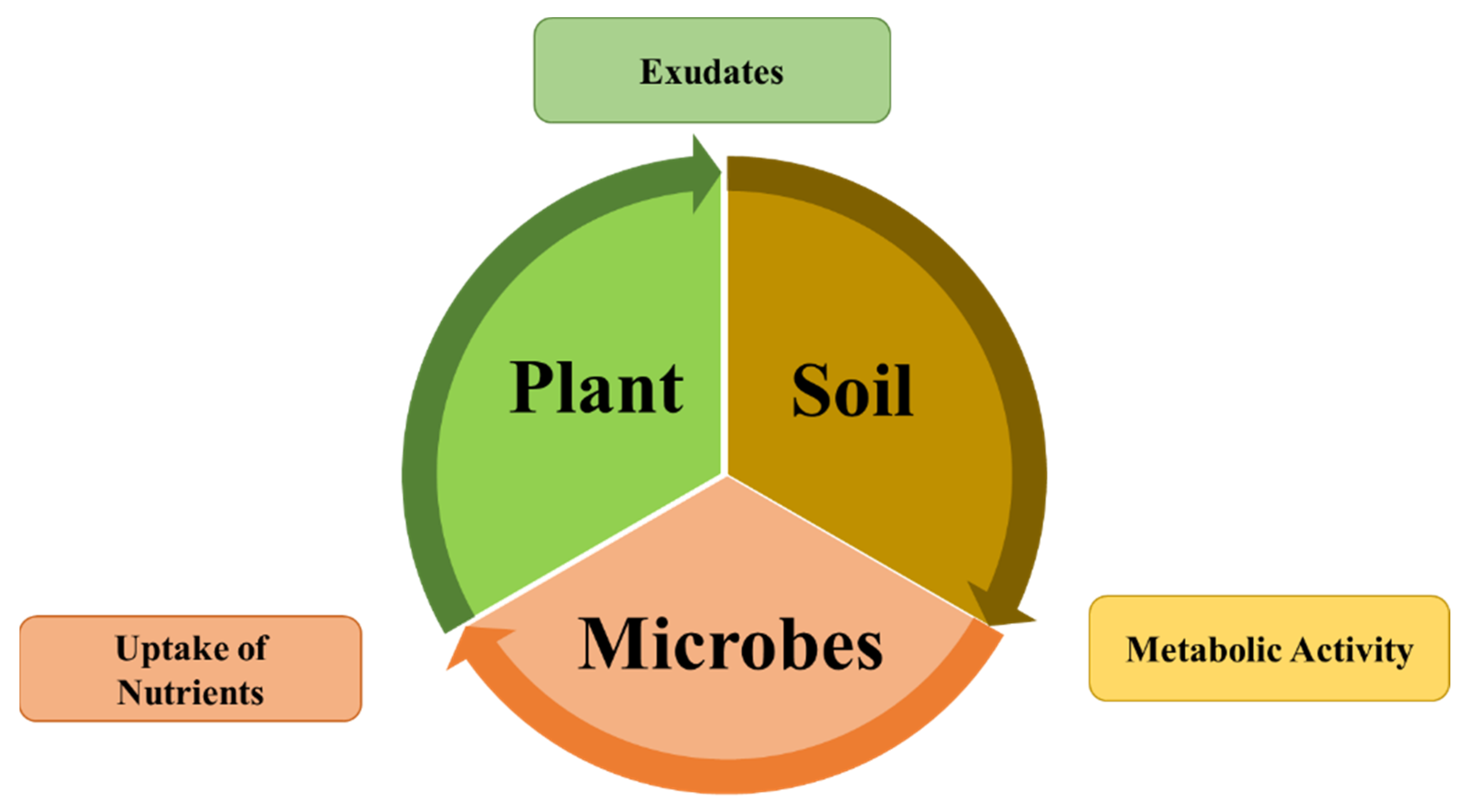 Biology 11 01763 g002