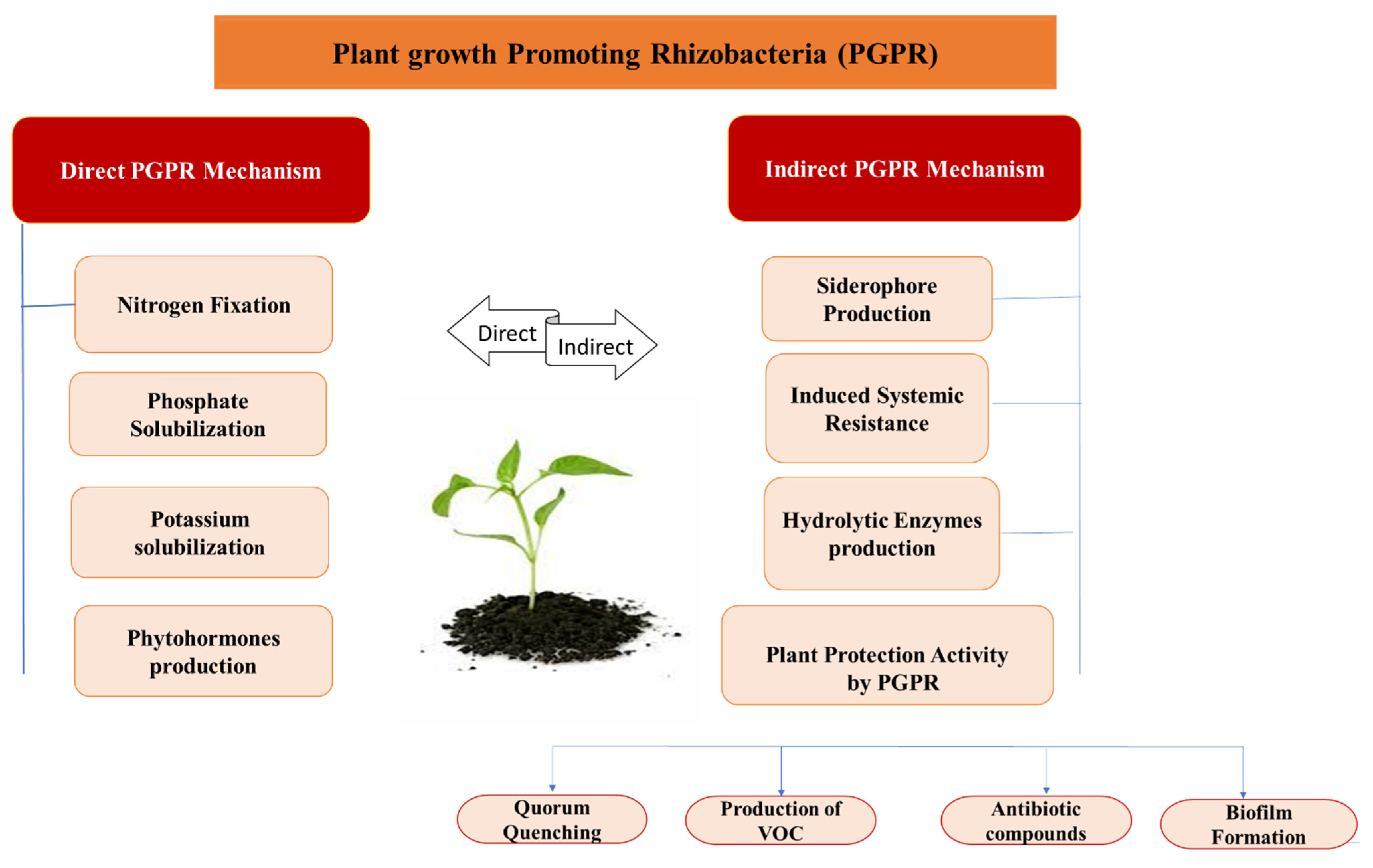 Biology 11 01763 g004
