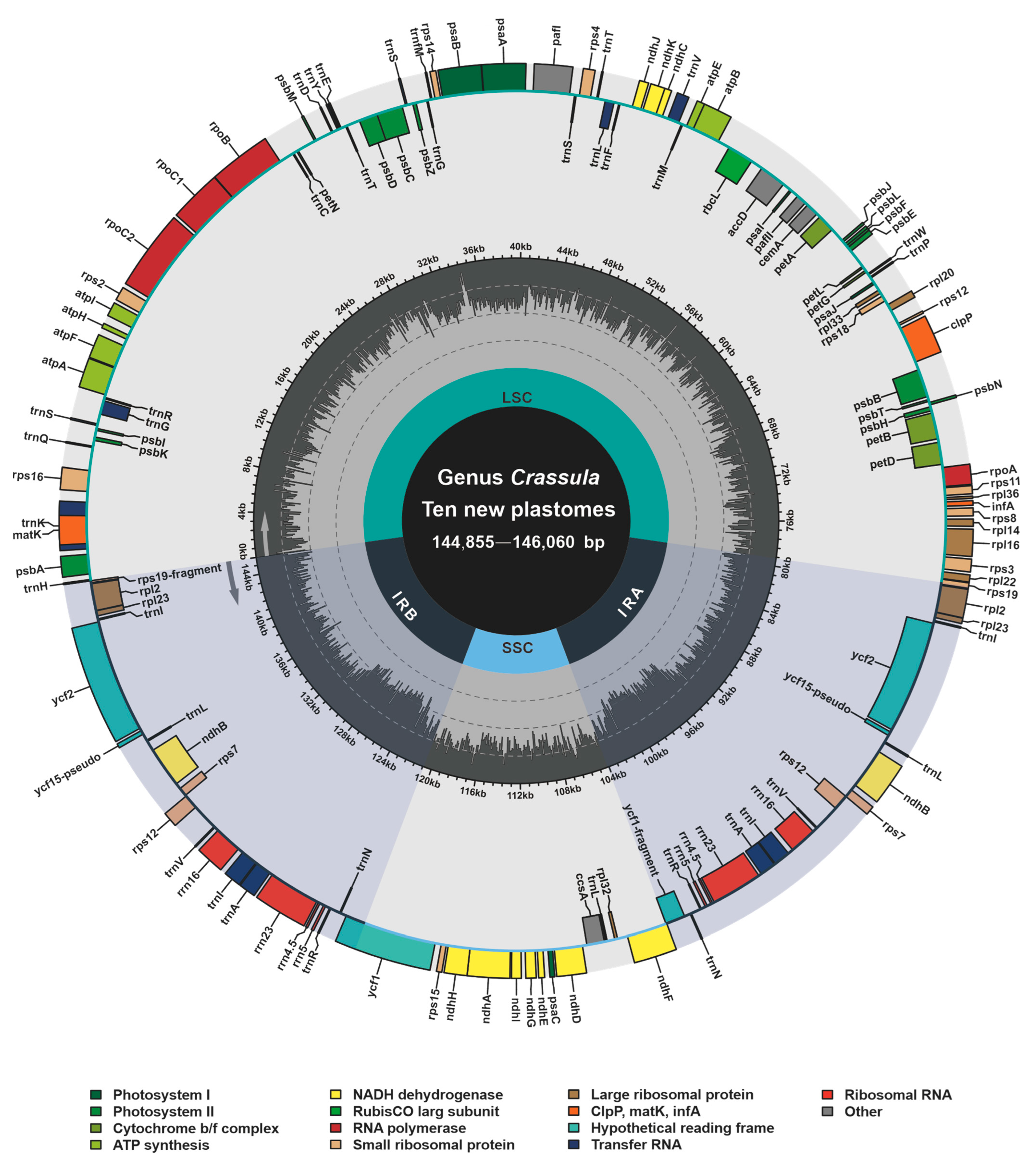Biology 11 01779 g001
