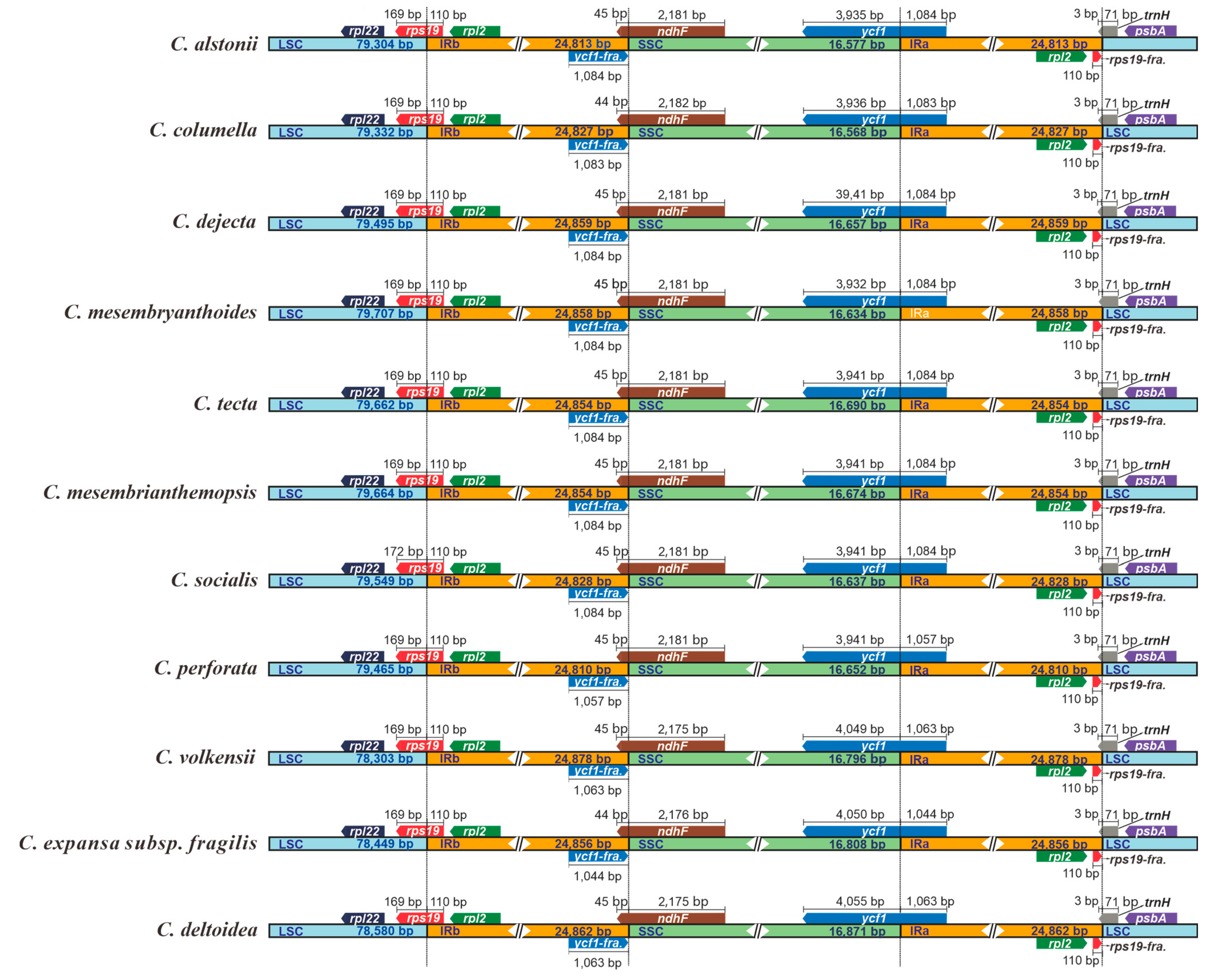 Biology 11 01779 g004