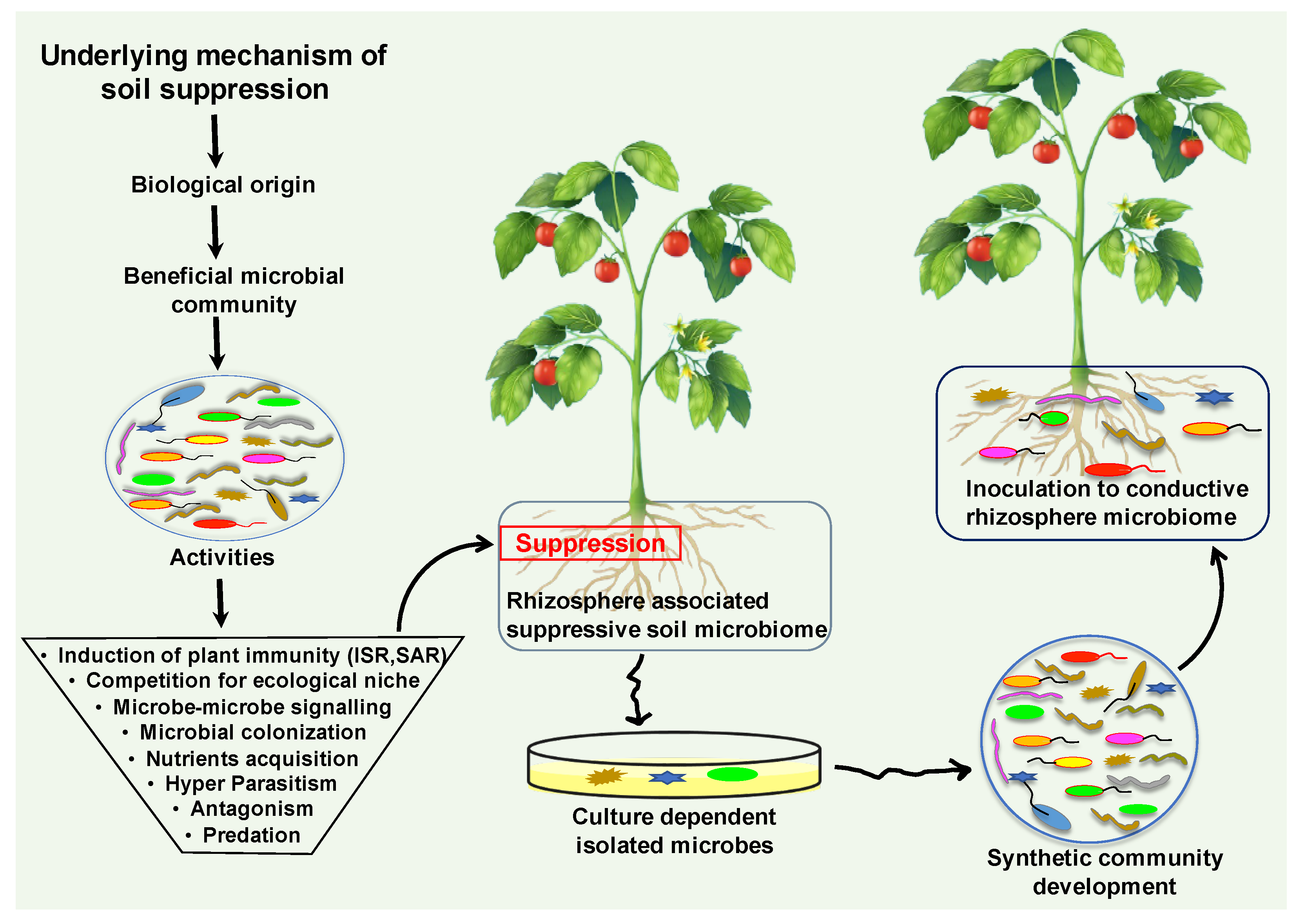 Biology 11 01782 g003 Biology 11 01782 g003