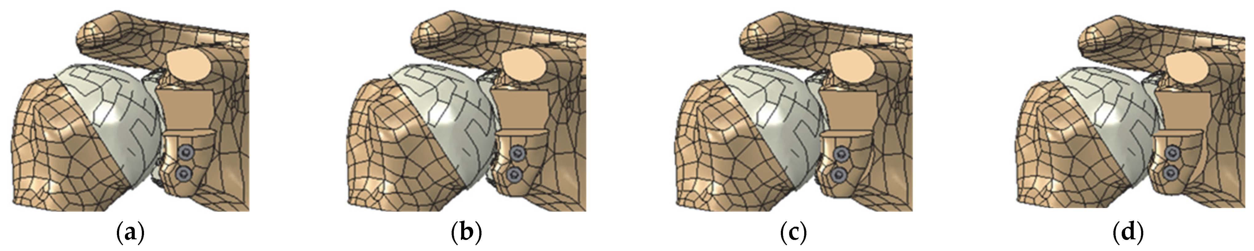 Biology 11 01783 g002