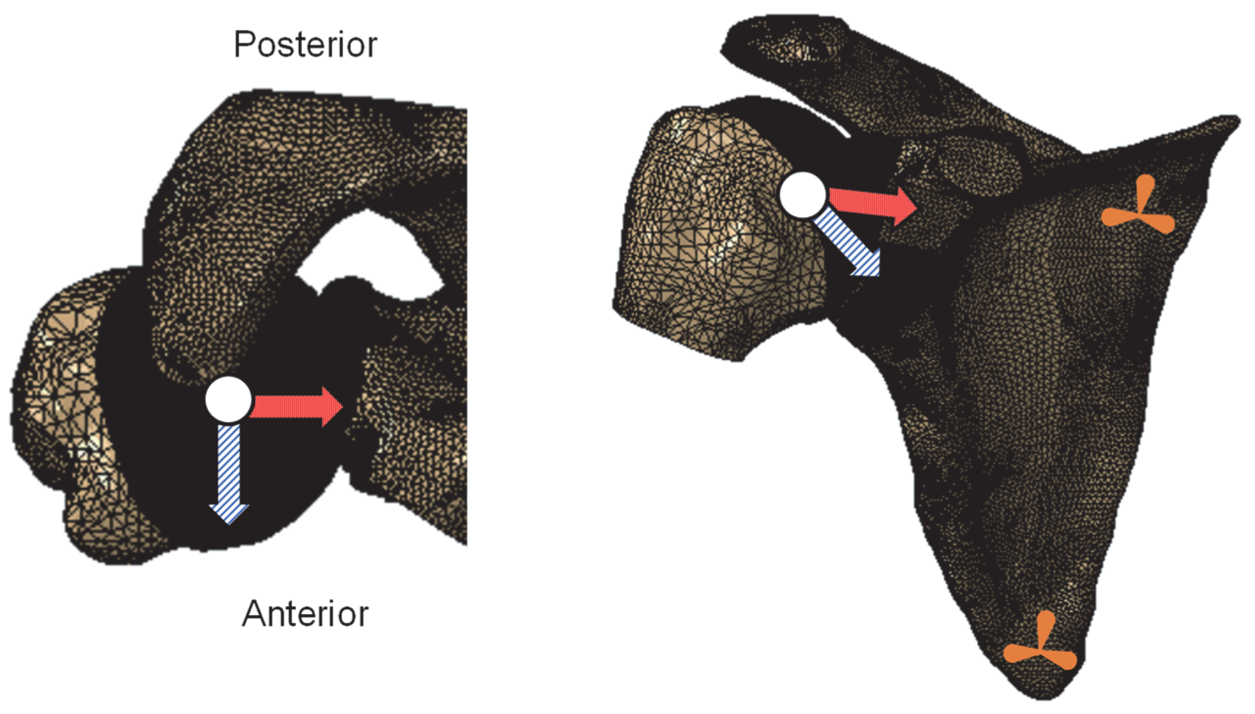 Biology 11 01783 g003