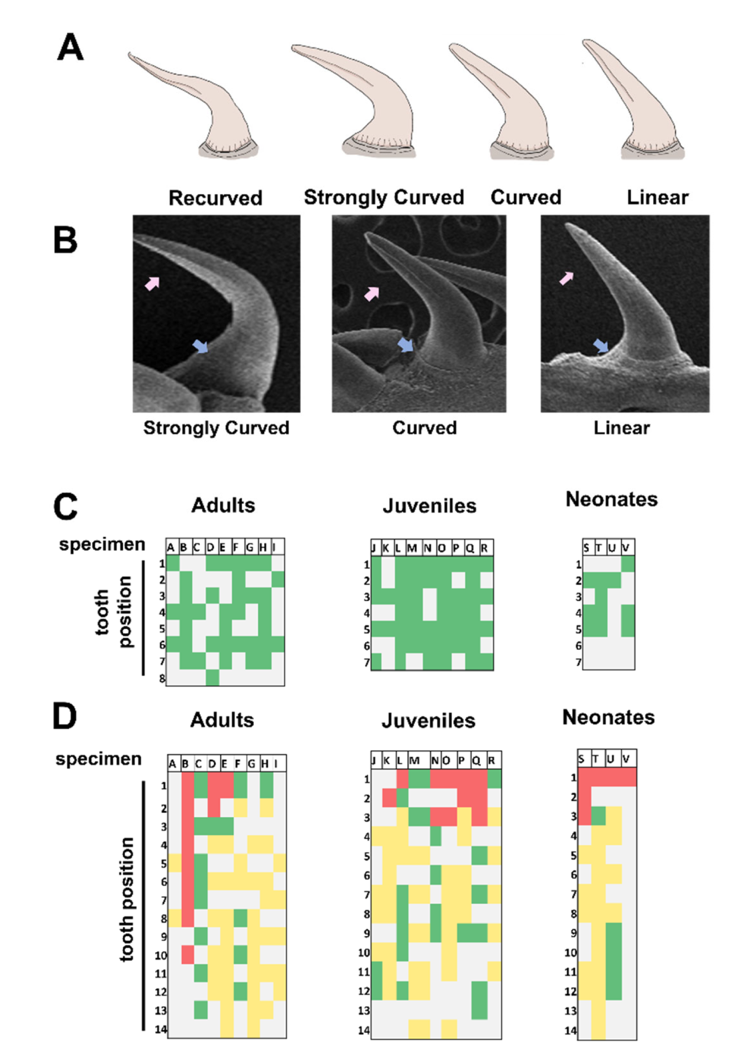 Biology 11 01788 g005