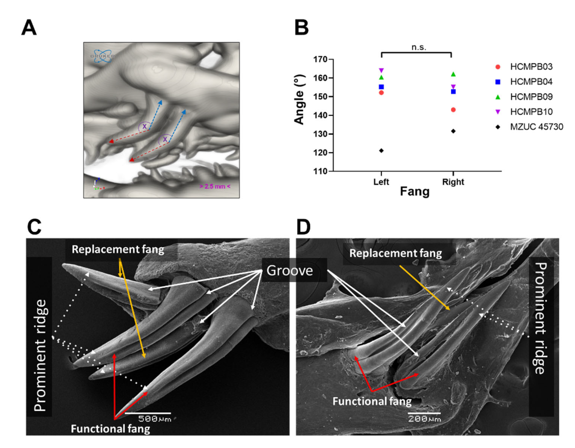 Biology 11 01788 g007