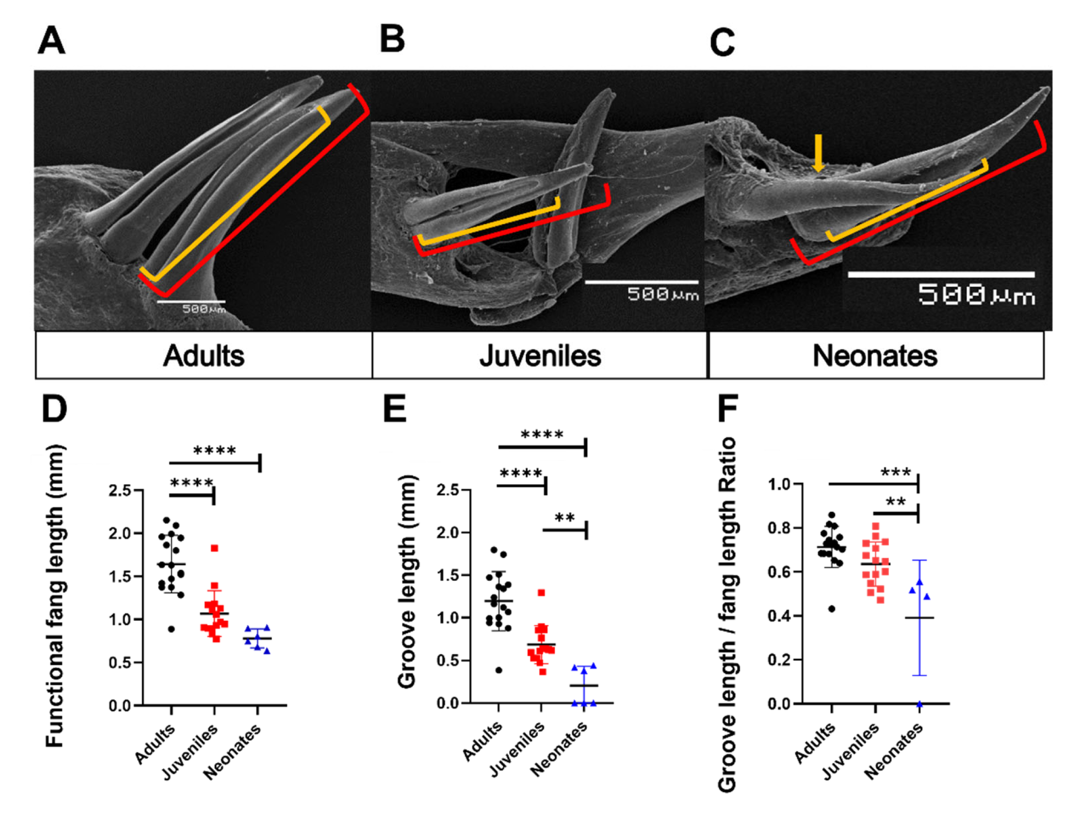 Biology 11 01788 g009