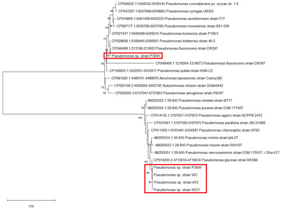 Biology 11 01790 g0a1