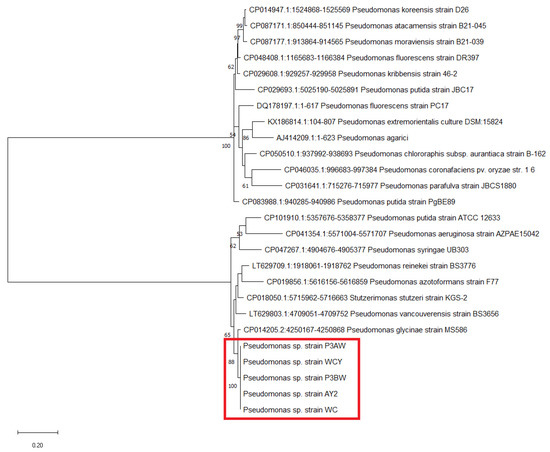 Biology 11 01790 g0a2