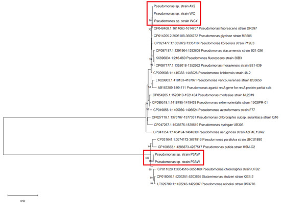 Biology 11 01790 g0a3