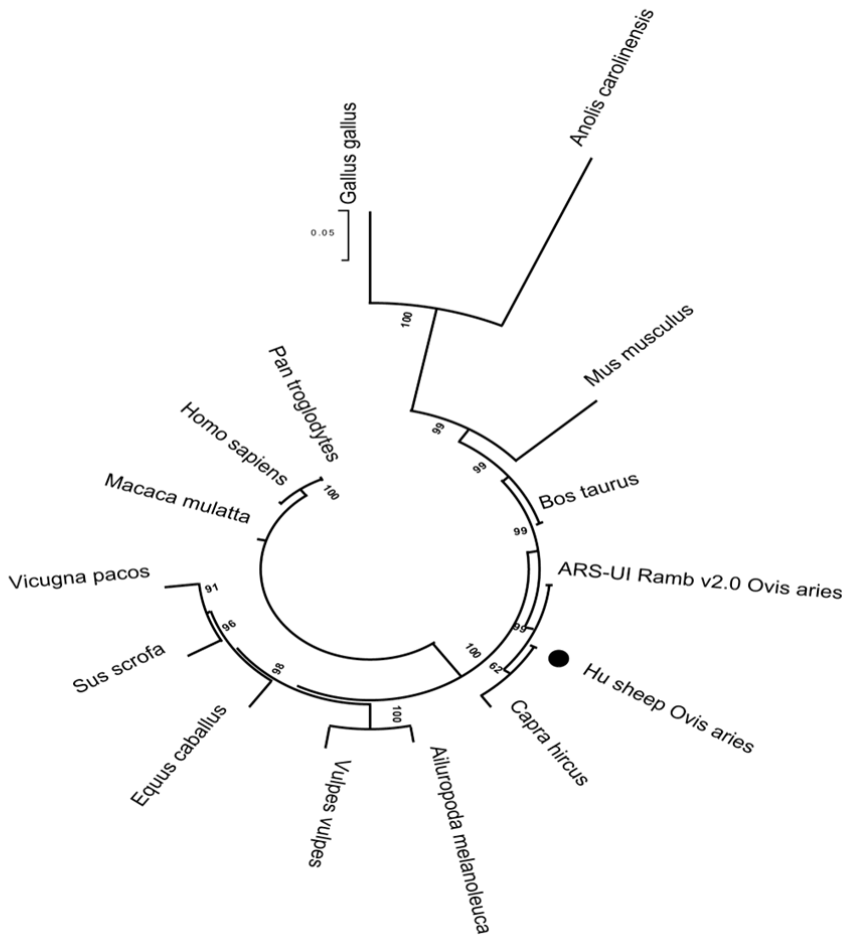 Biology 11 01795 g007