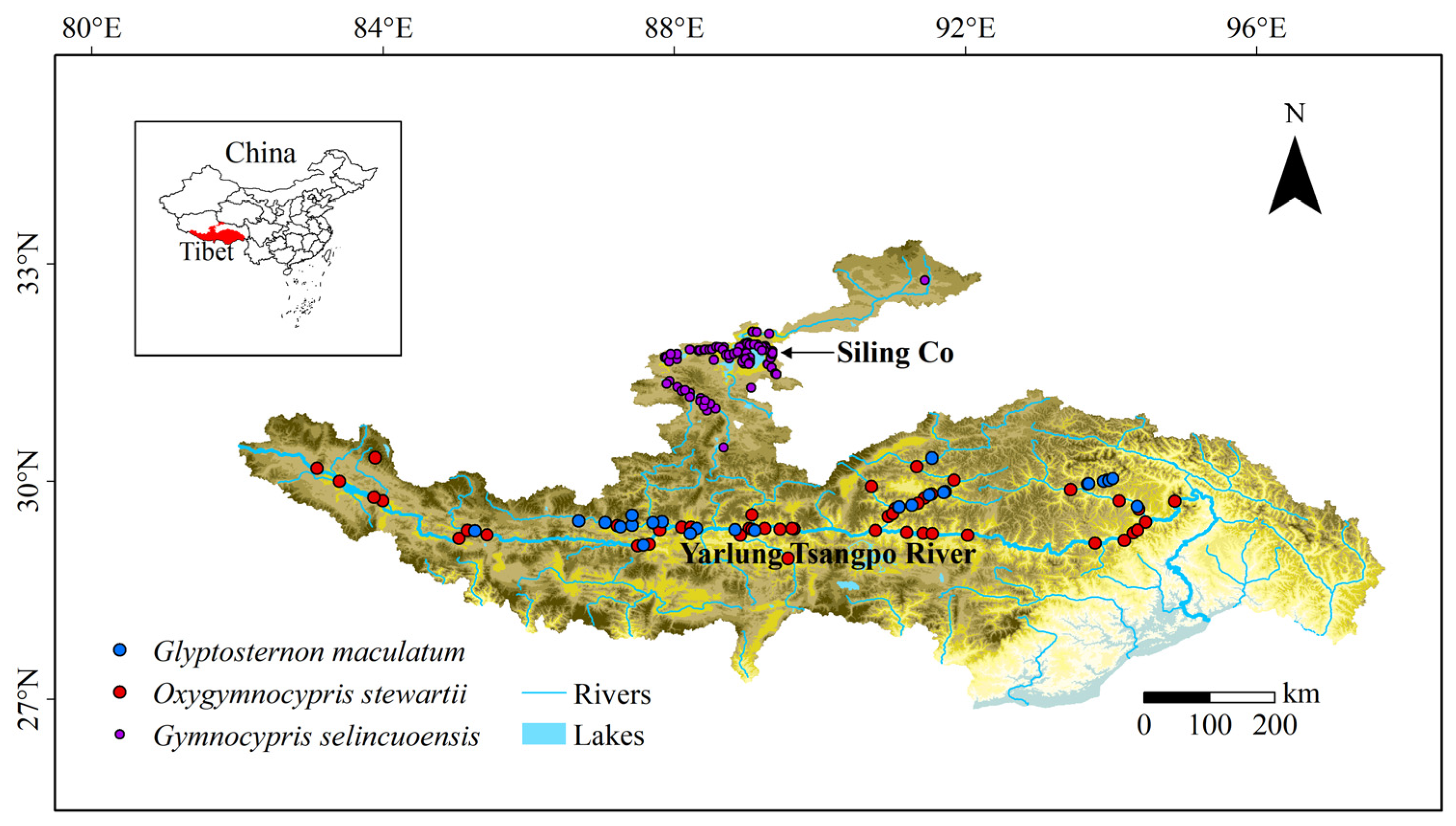 Biology 11 01808 g001 Biology 11 01808 g001