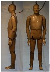 Biology 11 01813 i001