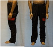 Biology 11 01813 i017