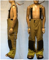 Biology 11 01813 i023