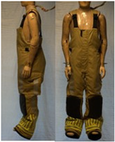 Biology 11 01813 i024