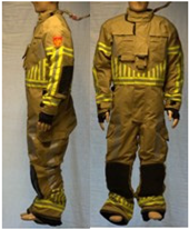 Biology 11 01813 i025