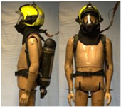 Biology 11 01813 i036