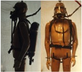 Biology 11 01813 i038