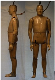 Biology 11 01813 i039