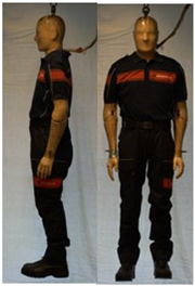 Biology 11 01813 i041