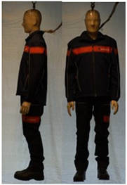 Biology 11 01813 i042