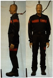 Biology 11 01813 i043