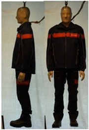 Biology 11 01813 i044