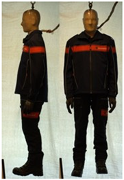 Biology 11 01813 i045