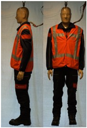 Biology 11 01813 i046