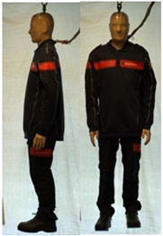 Biology 11 01813 i050