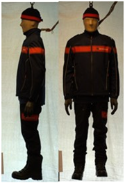 Biology 11 01813 i052