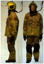 Biology 11 01813 i055