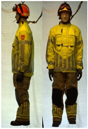 Biology 11 01813 i061