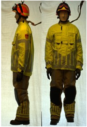 Biology 11 01813 i062